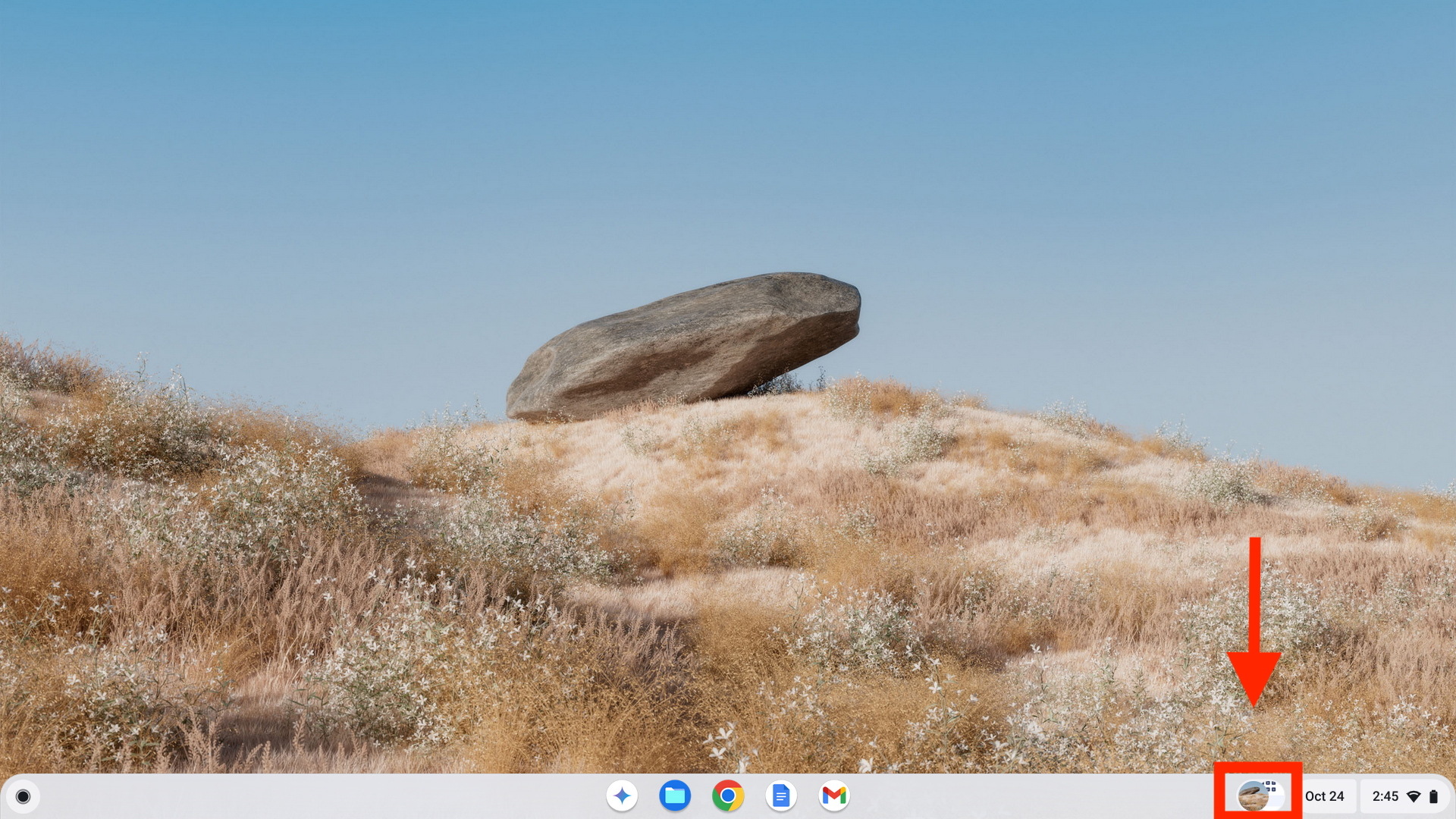 Screenshot 2024-10-24 2.45.05 PM.png